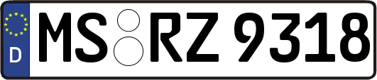MS-RZ9318