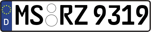 MS-RZ9319