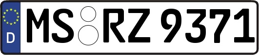 MS-RZ9371