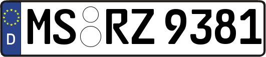 MS-RZ9381