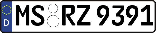 MS-RZ9391