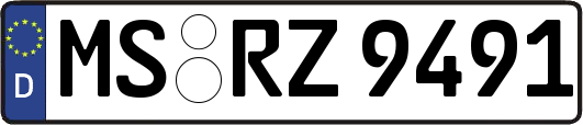 MS-RZ9491