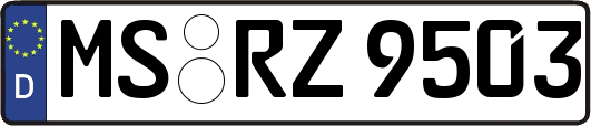 MS-RZ9503