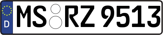 MS-RZ9513