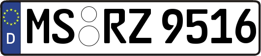 MS-RZ9516