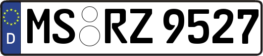 MS-RZ9527