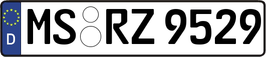 MS-RZ9529