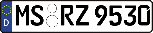 MS-RZ9530