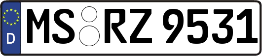 MS-RZ9531