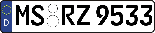 MS-RZ9533
