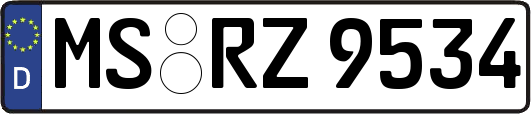 MS-RZ9534