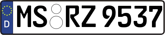 MS-RZ9537