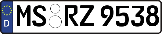 MS-RZ9538