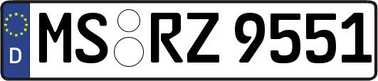 MS-RZ9551