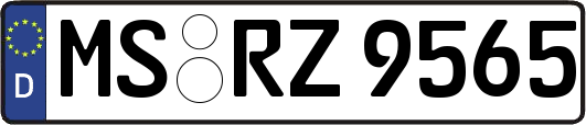 MS-RZ9565