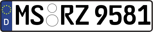 MS-RZ9581