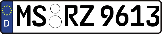 MS-RZ9613