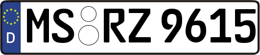 MS-RZ9615