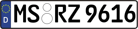 MS-RZ9616