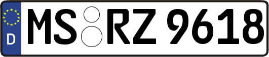 MS-RZ9618