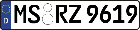 MS-RZ9619