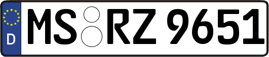 MS-RZ9651