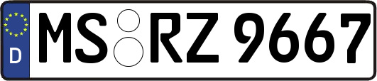 MS-RZ9667