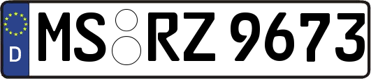MS-RZ9673