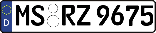 MS-RZ9675