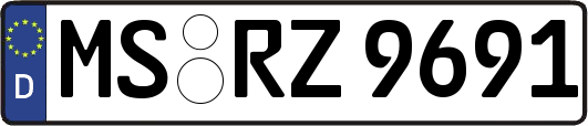 MS-RZ9691