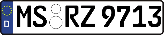 MS-RZ9713