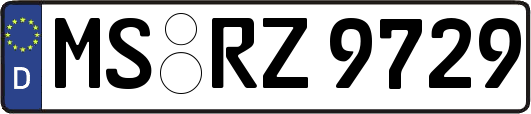 MS-RZ9729