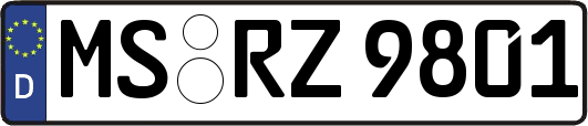 MS-RZ9801