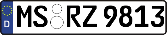 MS-RZ9813