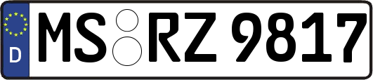 MS-RZ9817