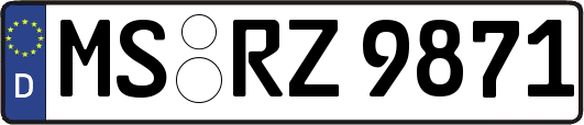 MS-RZ9871