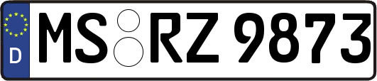 MS-RZ9873