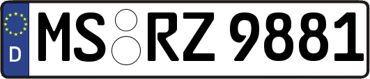 MS-RZ9881