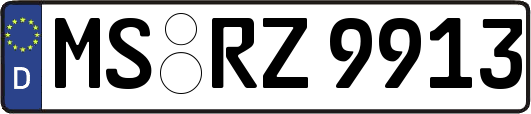 MS-RZ9913