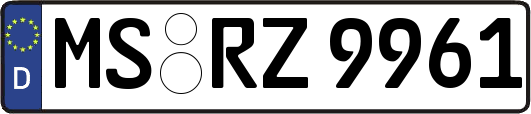 MS-RZ9961