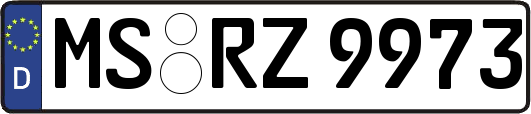 MS-RZ9973