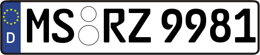 MS-RZ9981