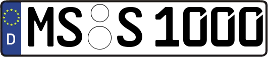 MS-S1000