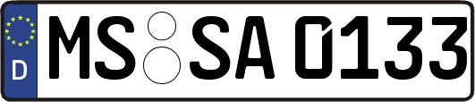 MS-SA0133