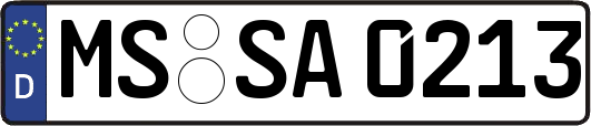MS-SA0213
