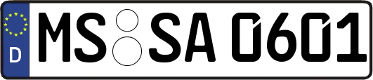 MS-SA0601