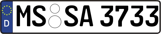 MS-SA3733