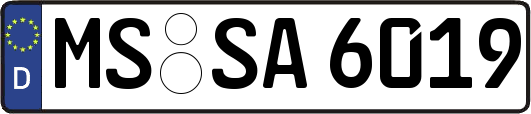 MS-SA6019