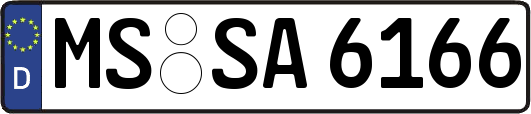 MS-SA6166