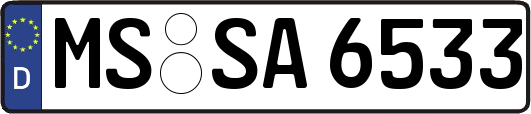 MS-SA6533